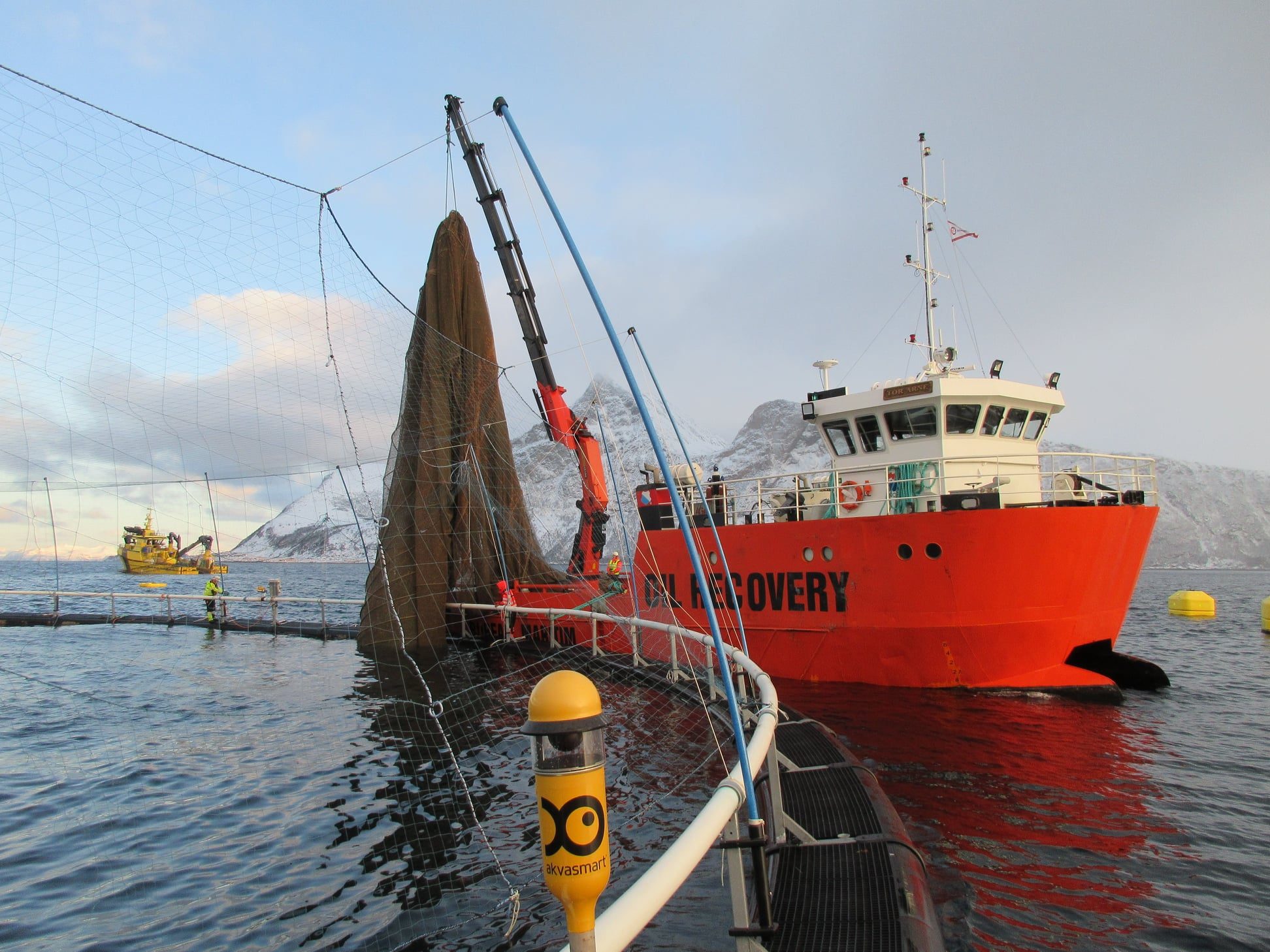 Boreal Maritim utfører oppdrag for havbruk og oppdrettsnæringen.